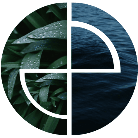 DigitalPlanet Logo showing leaves and water