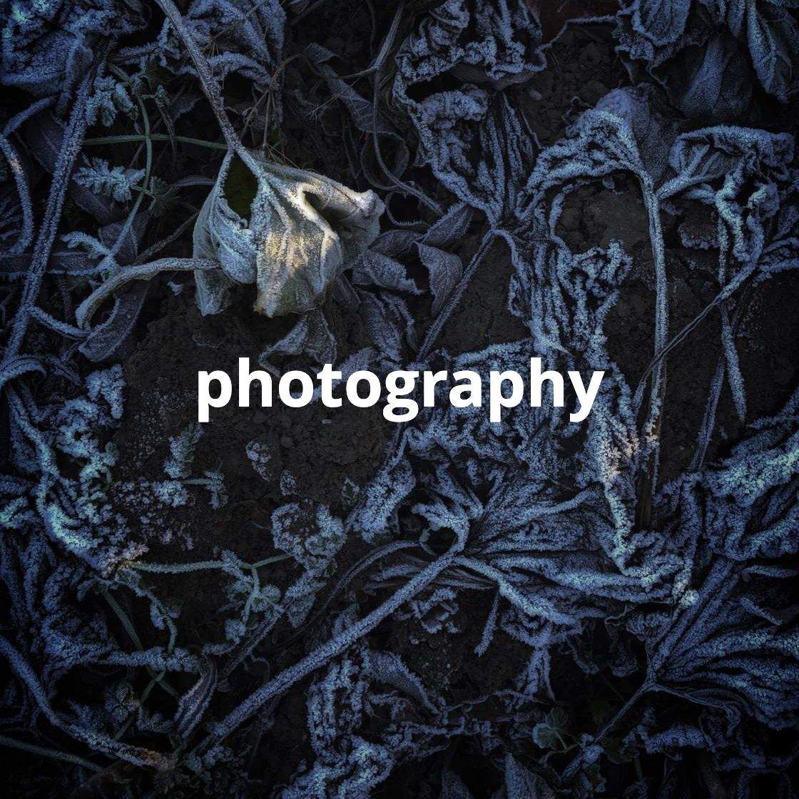 fine art photo with text 'photography' that links to pages with nicole gadiel's fine art photography, paintings and interior decor artwork