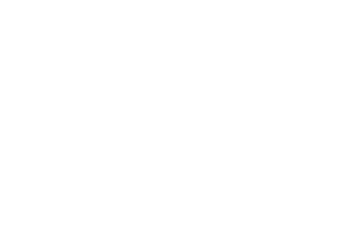 Dumbphone
