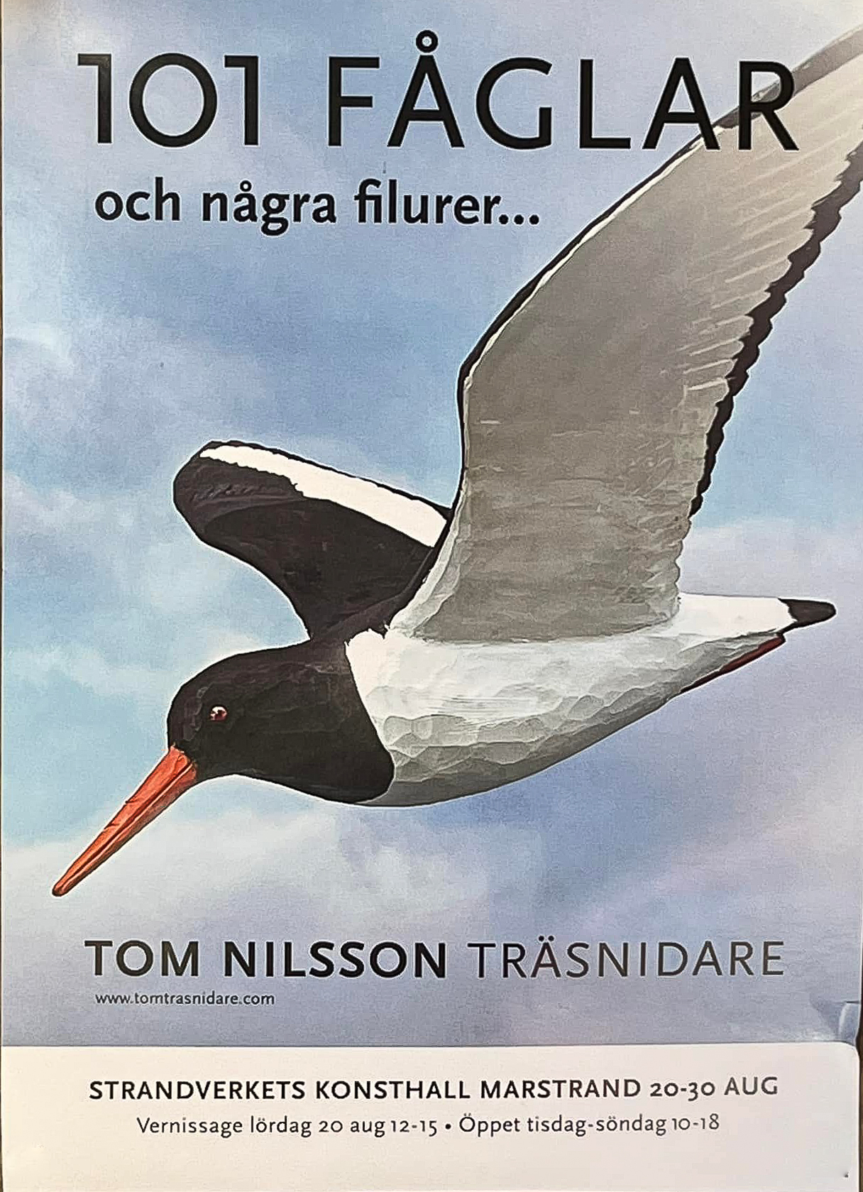 Tom Nilsson - 101 fglar och ngra filurerjpg