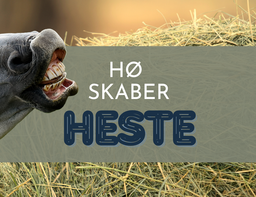 Hø skaber heste - Struktur og hø til heste