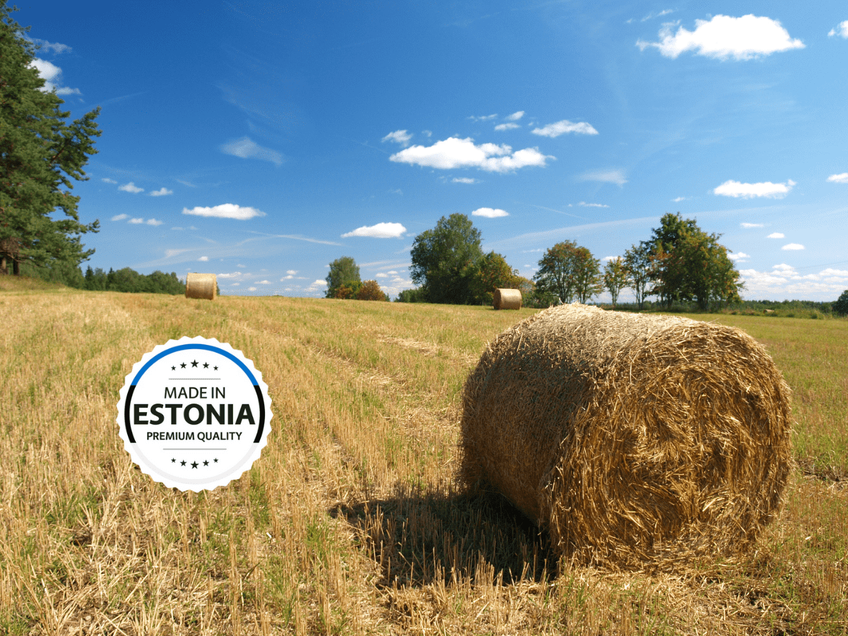 Hübriidkriisi mõju Eesti majandusele ja ettevõtetele: Kas tagumine aeg hakata tegema lisainvesteeringuid tarkvarasse?