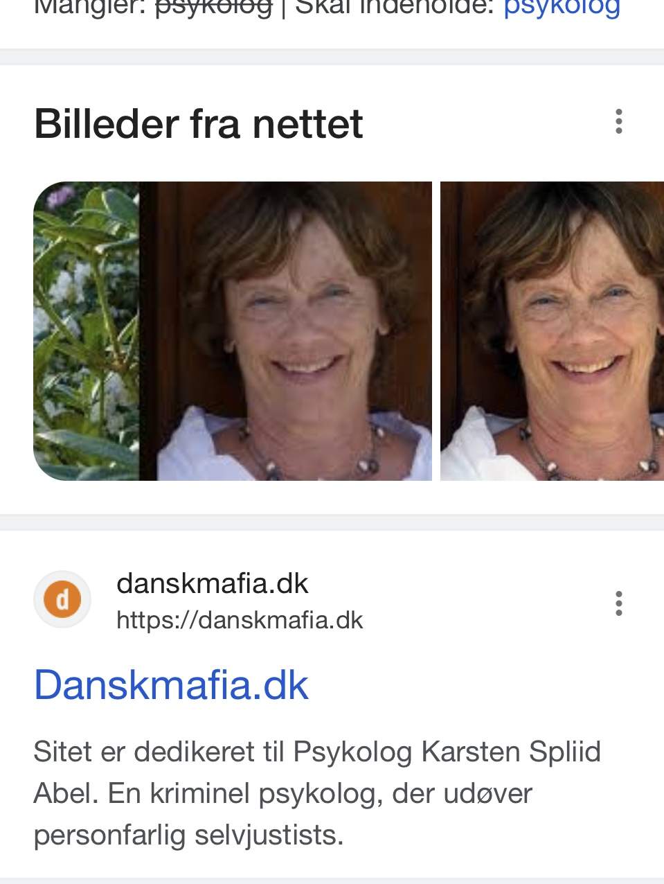 Danskmafia.dk