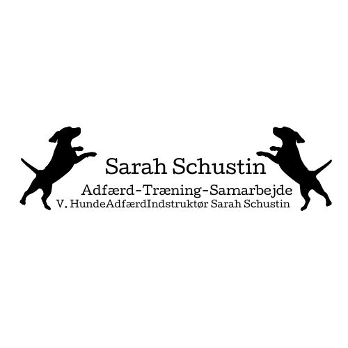 Sarah Schustin