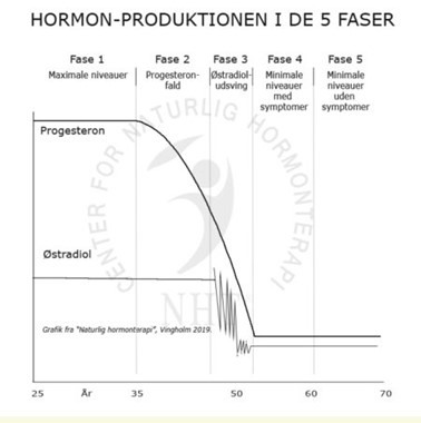 Hormon produktionen i de 5 faserjpg