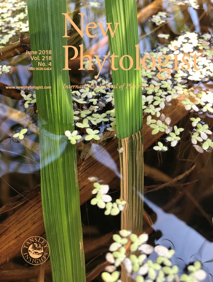 LGF1 cover of New Phytologist 2018jpg