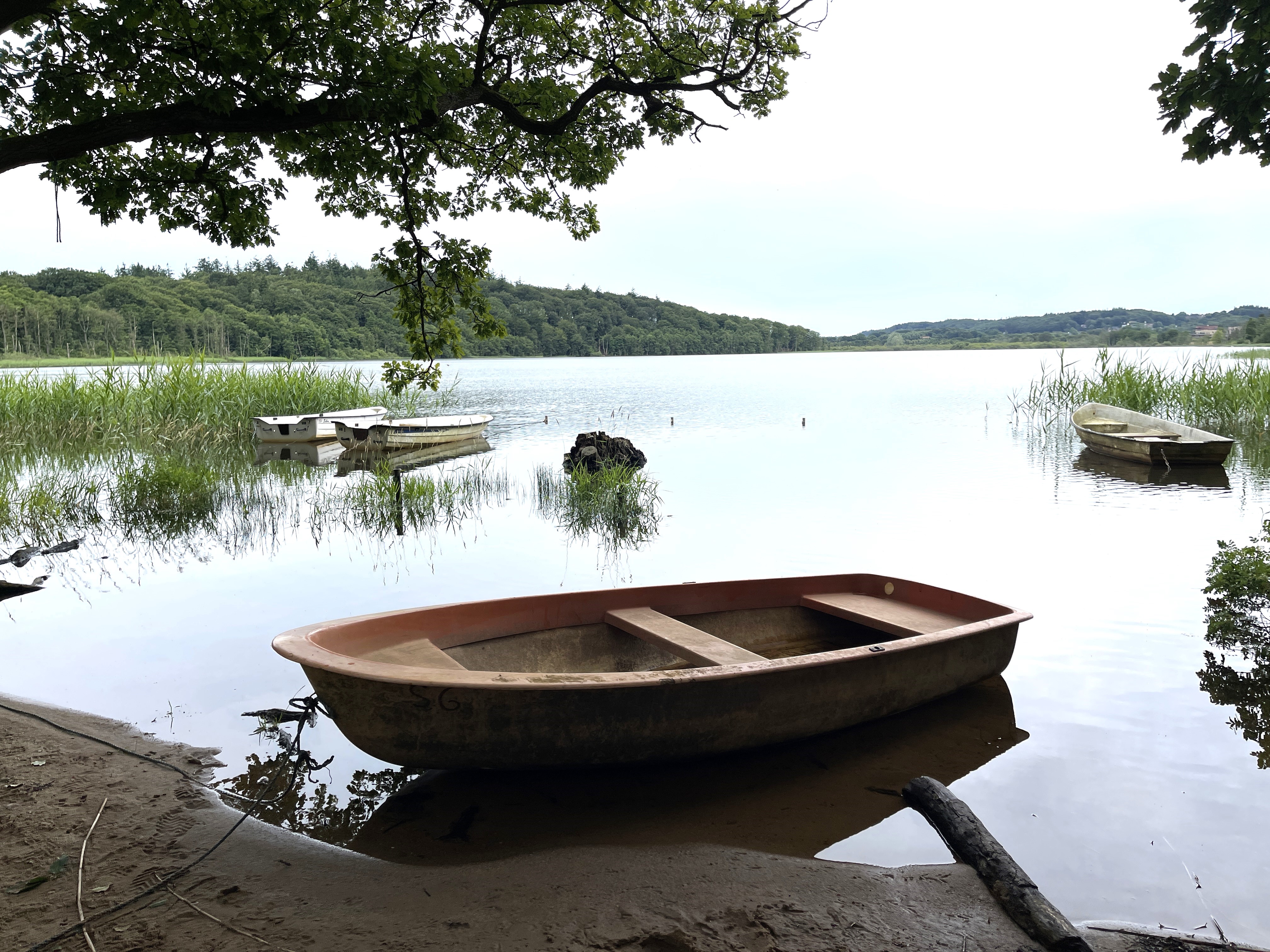 Hjejlen Camino Søhøjlandet Silkeborg