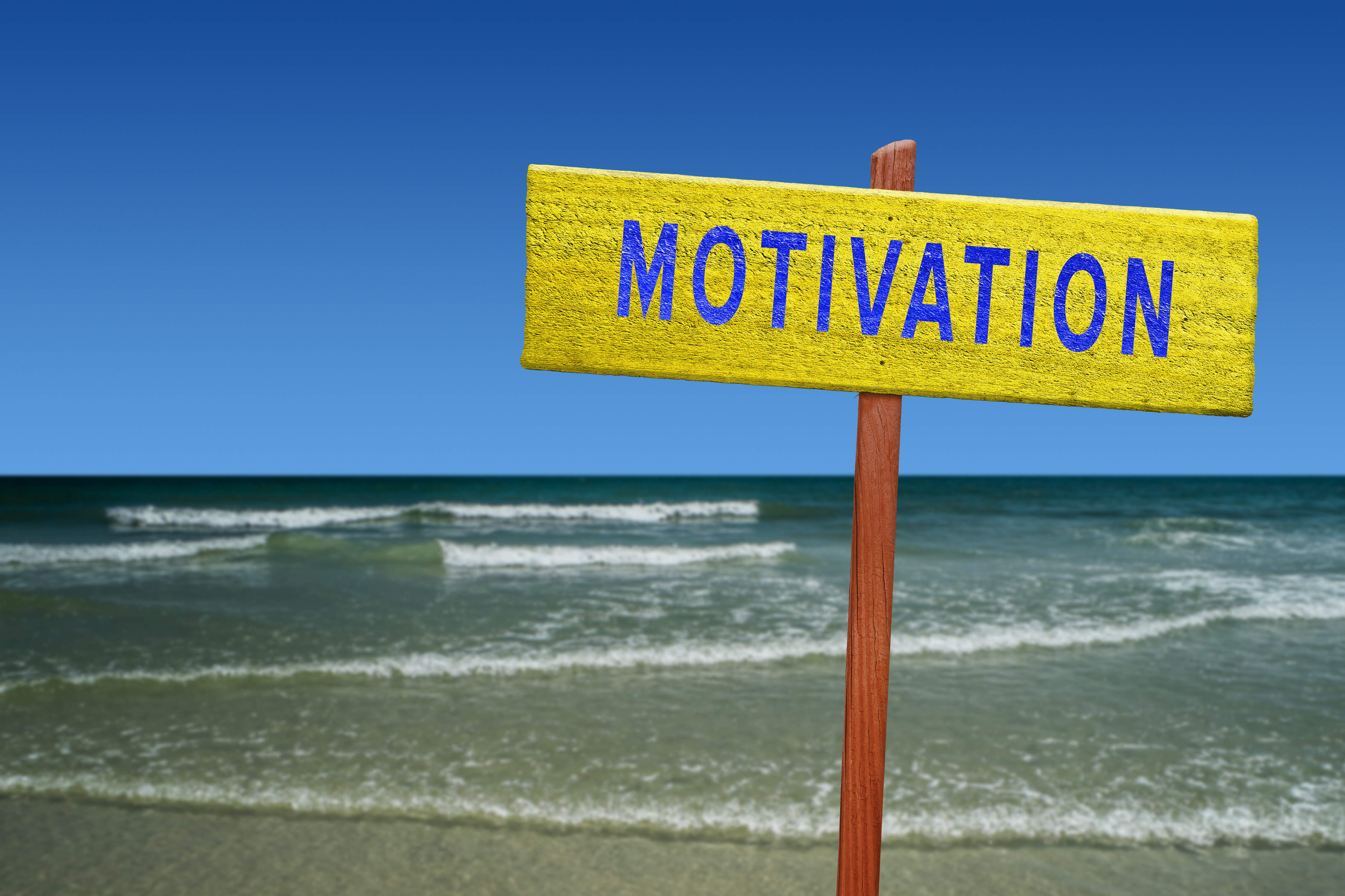 Motivation, incentive, bonus mål, performance scoring