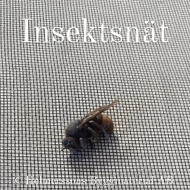 Insektsnät