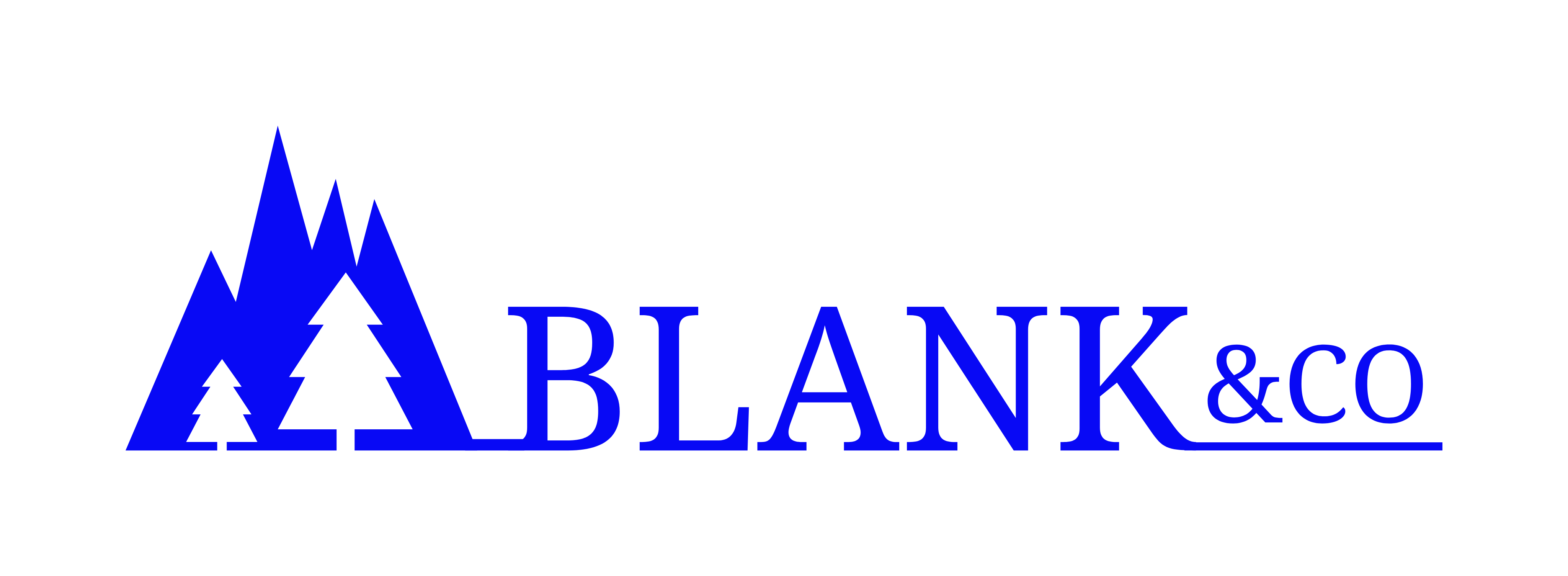 Blank & Co