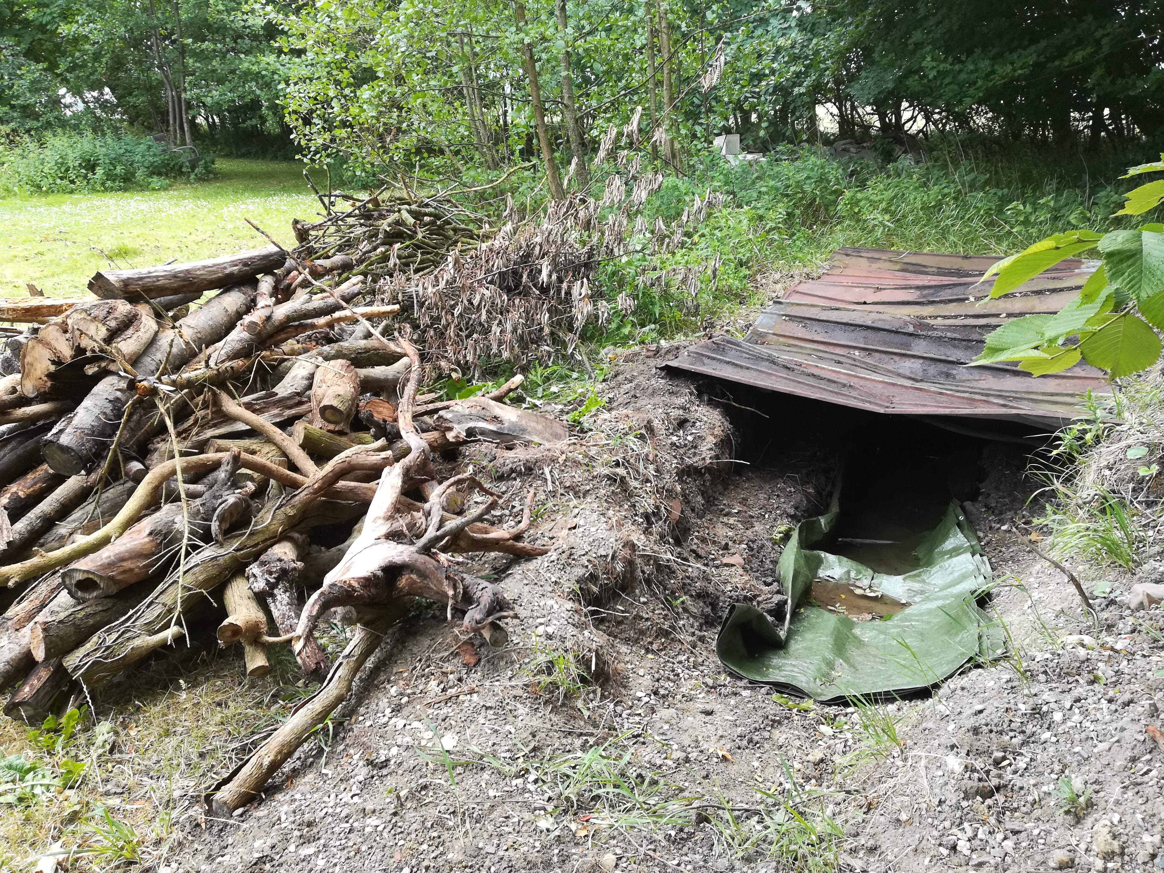 The Kiln is covered from the rain - and the firewood is ready.