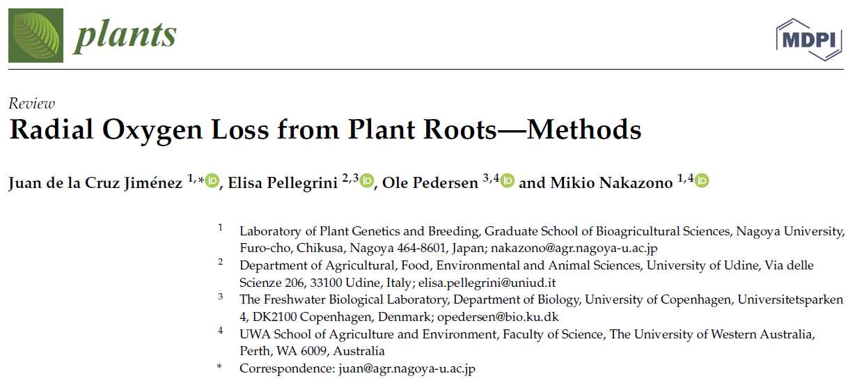 New paper on methods to visualize or quantify radial O2 loss from plant roots