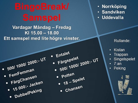 Bingo Break 221113 50jpg