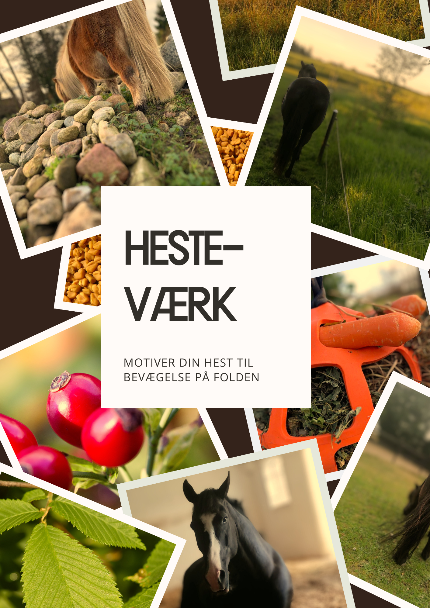 Heste-gal