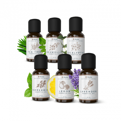 Wetality Essential Oils Basic 6 pack