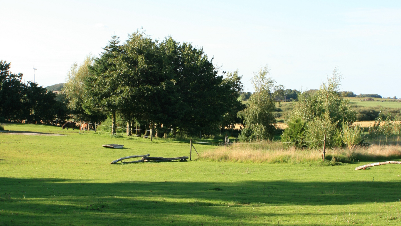 Motiverende hestefold med Naturlig Berigelse