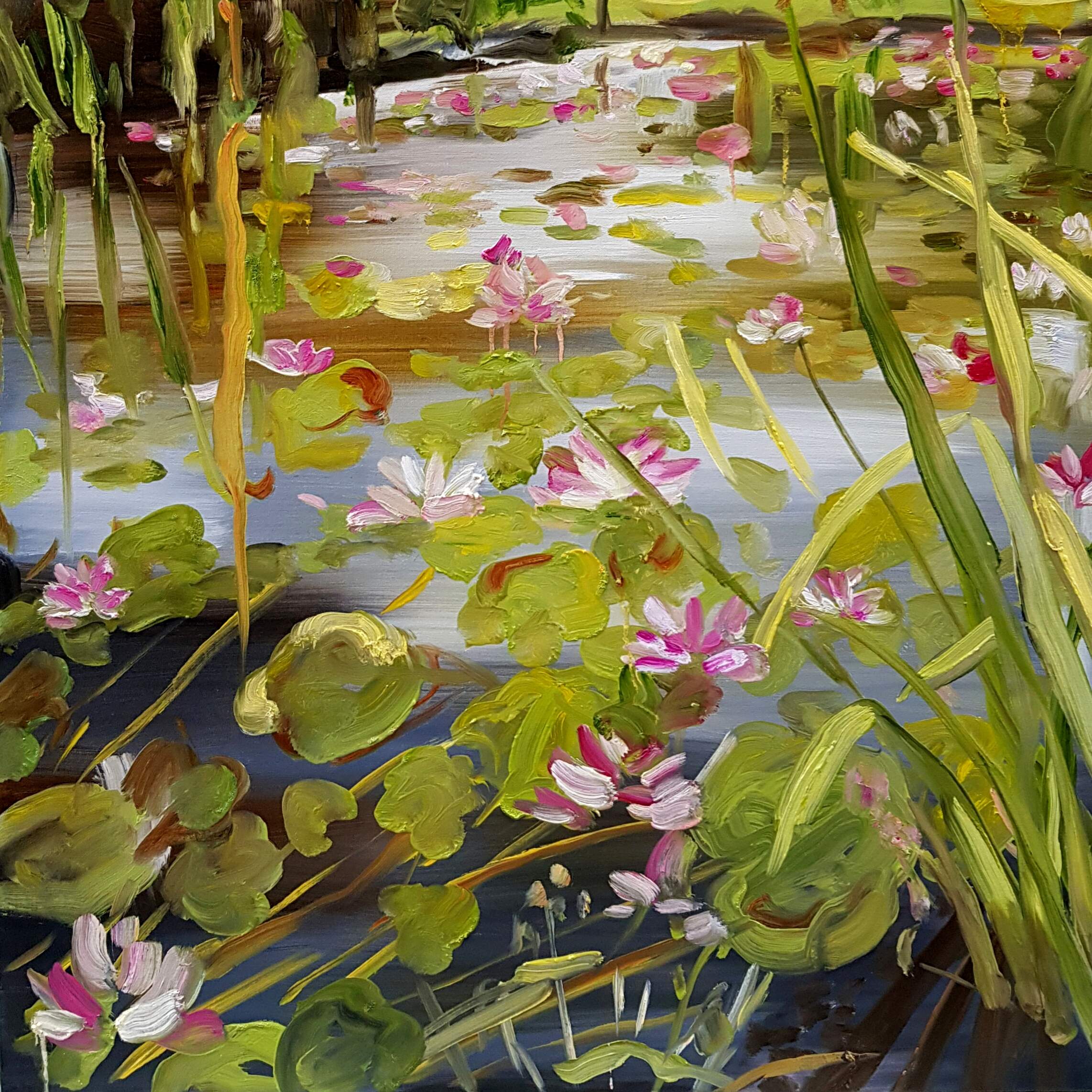 The water lilies II