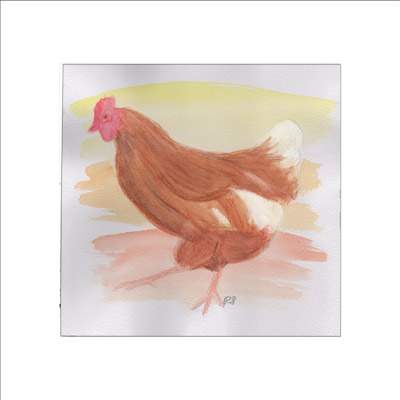 Høne malet med akvarelfarver, måler  med passepartout og ramme 30 x 30cm.