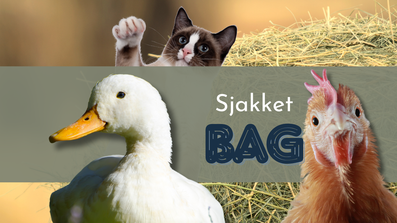 Sjakket bag - Alle dyrene på Farmen