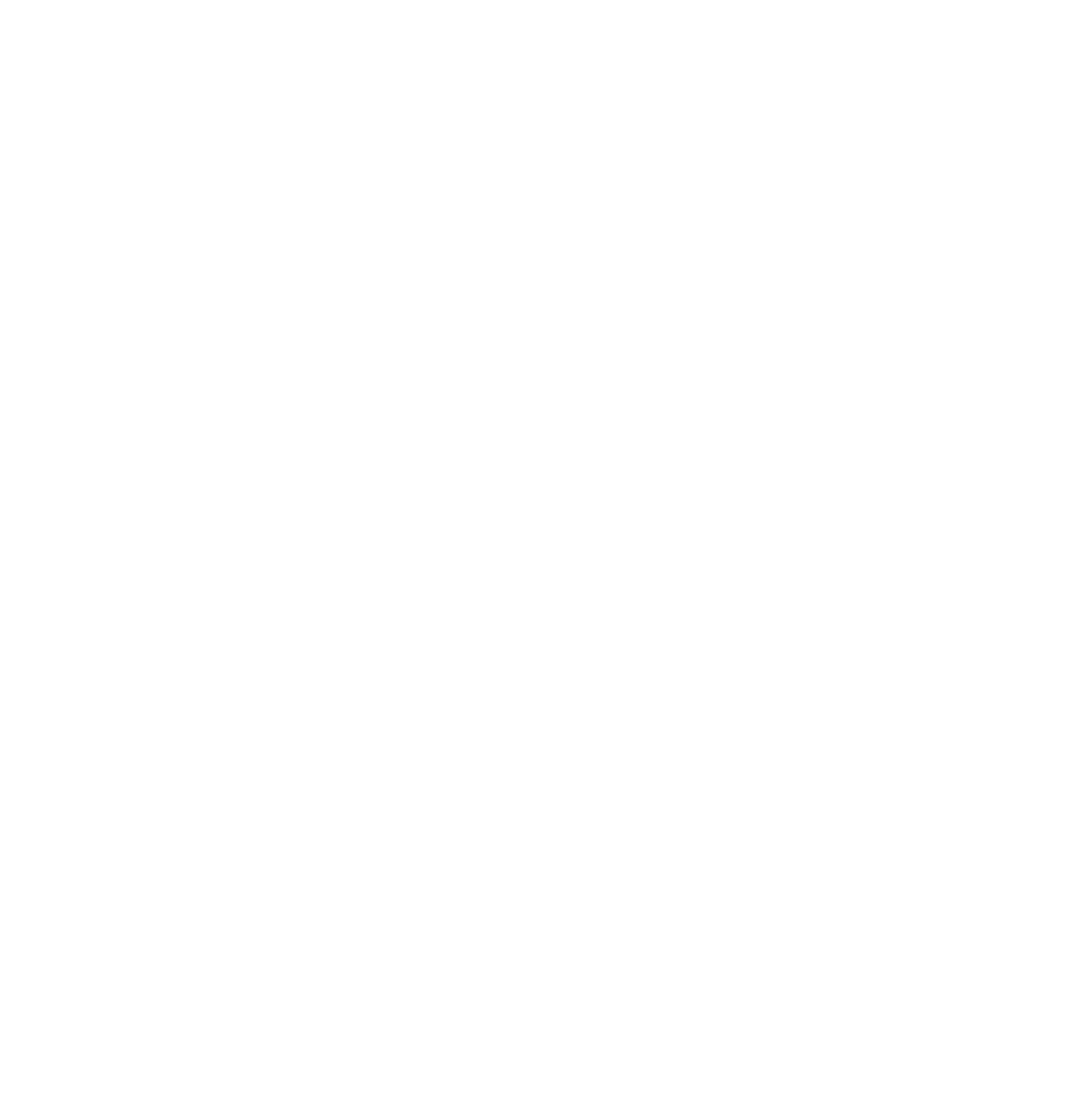 DACH Consulting 