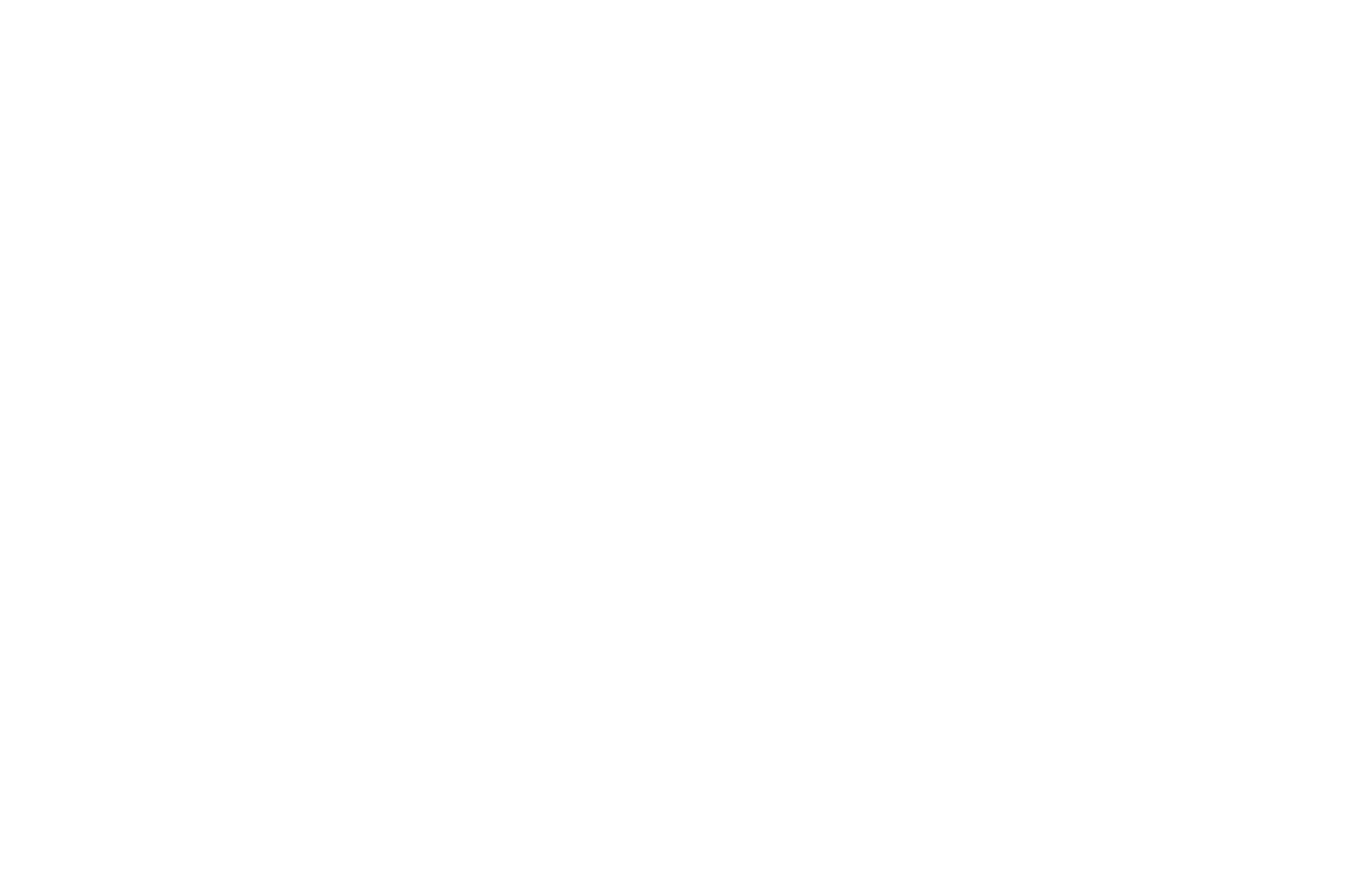 Black Silva Hairdresser