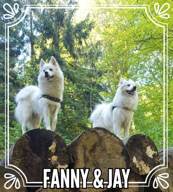 Konge & dronning af skoven
Fanny & Jay