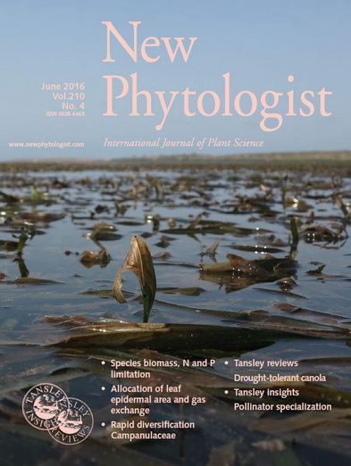 New Phytologist cover photo by Ole Pedersen