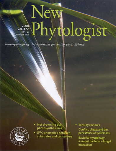New Phytologist cover photo by Ole Pedersen