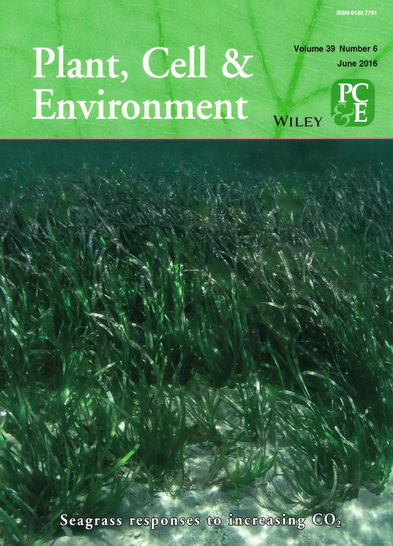 Plant Cell and Environment cover photo by Ole Pedersen