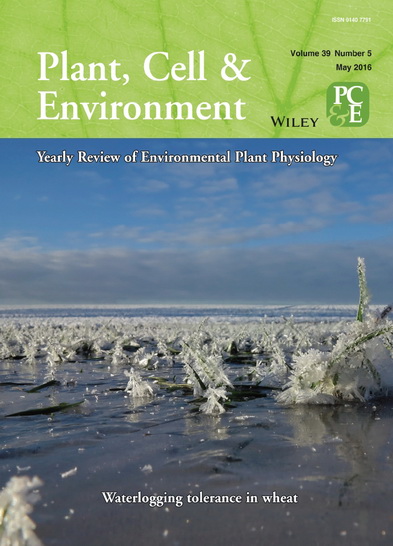 Plant Cell and Environment cover photo by Ole Pedersen