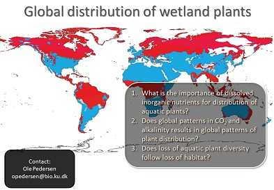 Global distribution of wetland plants by Ole Pedersen